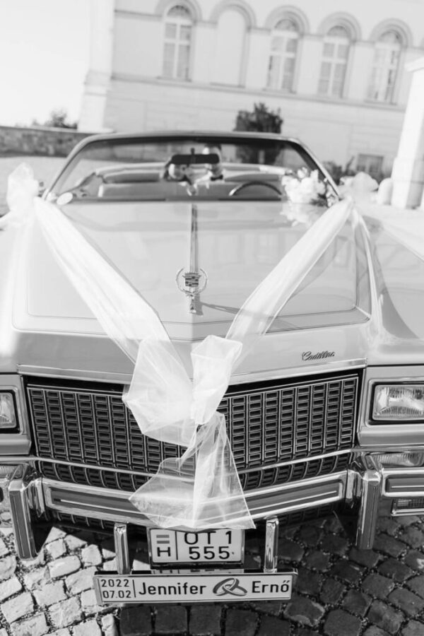 Elegant International Wedding :: Győr, Hungary - photo 6