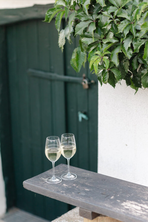 Summer Engagement Session - photo 3