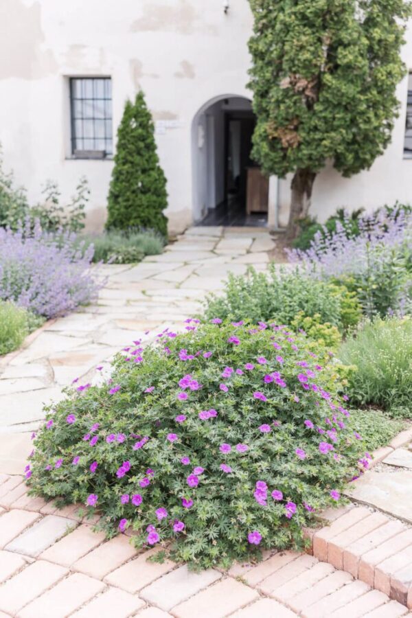 A Bohemian Wedding in Kocanda, Kravsko: A Photographer’s Dream Come True - photo 10 A Bohemian Wedding in Kocanda, Kravsko: A Photographer’s Dream Come True - photo 10