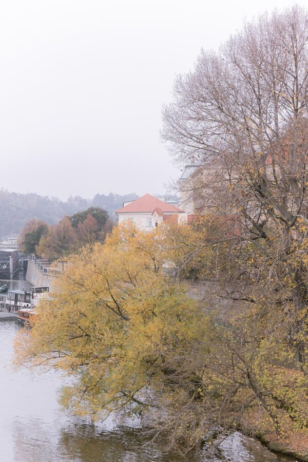 Elopement Portraits in Prague, Czechia - photo 17