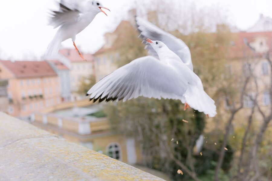 Elopement Portraits in Prague, Czechia - photo 22