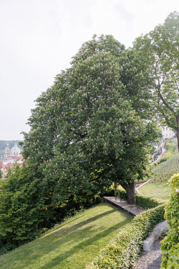 Prague Wedding Venue Villa Richter 30