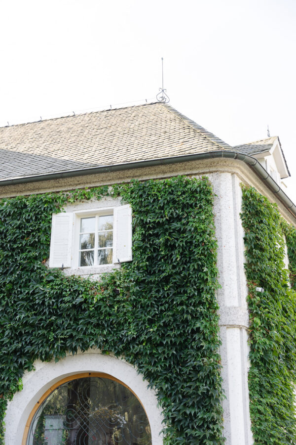 Prague wedding venue :: CHATEAU NIMERICE - photo 8