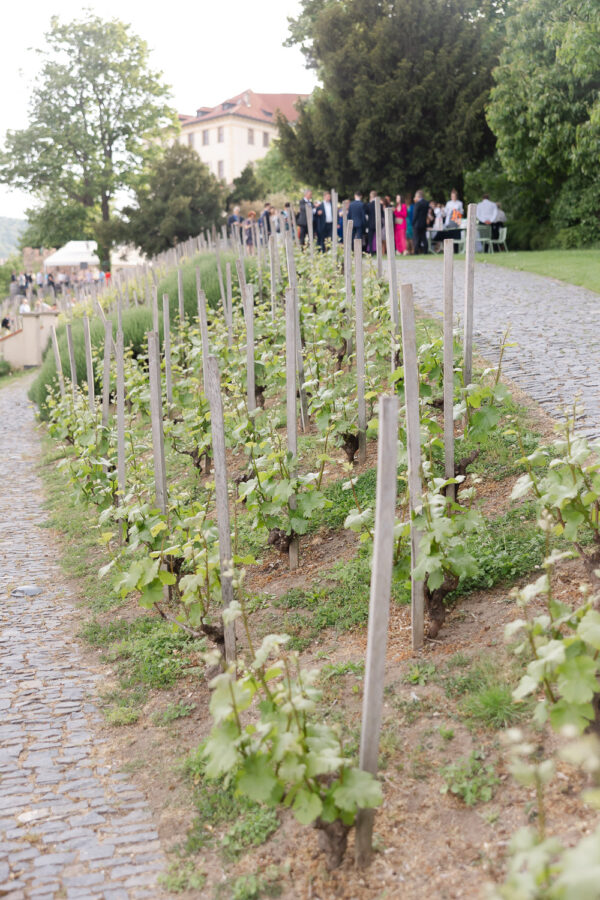 Villa Richter: Prague’s Premier Wedding Venue with a View - photo 14