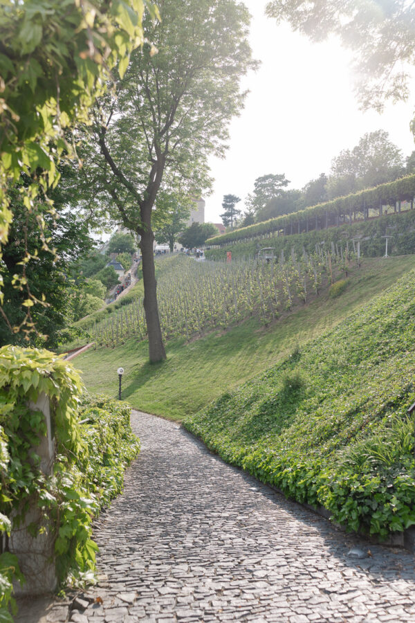 Villa Richter: Prague’s Premier Wedding Venue with a View - photo 17