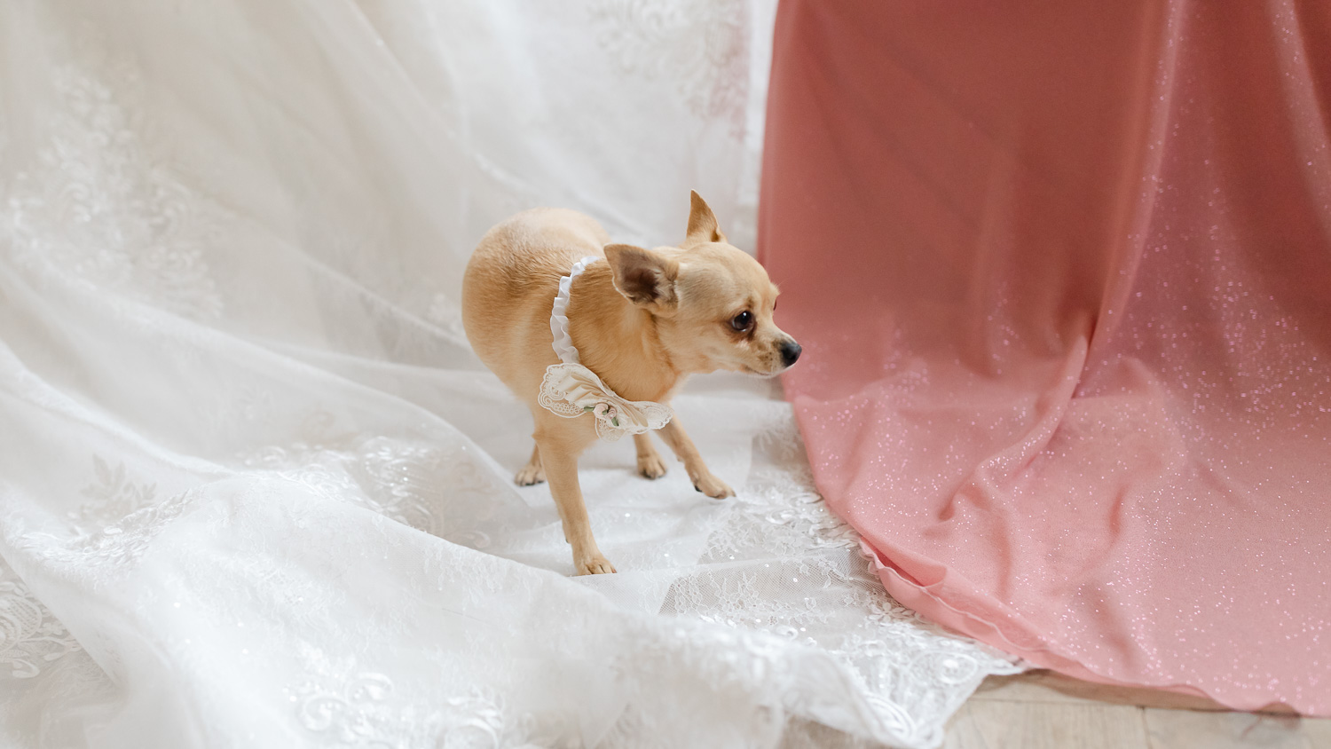 Art Hotel Kastiel Tomasov Svadba 1