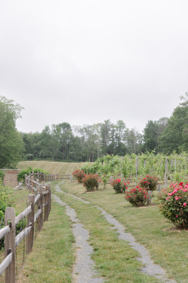 Bear Brook Valley Wedding: A Guide to Perfect Bliss - photo 3