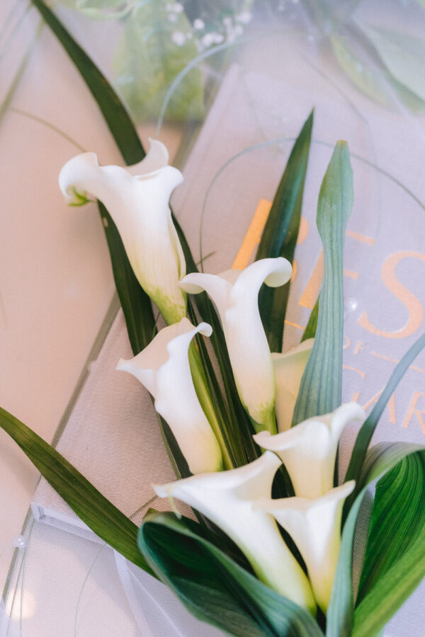 Budapest Wedding :: Fishermans Bastion - photo 3
